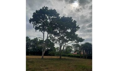 LOTE EN VENTA EN VEREDA APIAY VIA LA VIGIA VILLAVICENCIO