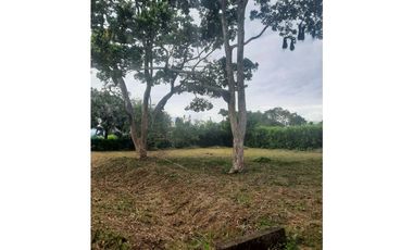 LOTE EN VENTA EN VEREDA APIAY VIA LA VIGIA VILLAVICENCIO