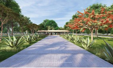 LOTES RESIDENCIALES EN VENTA 