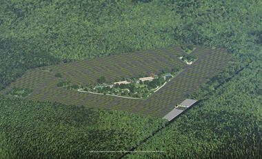 LOTES RESIDENCIALES EN VENTA 