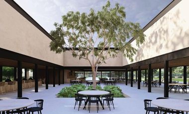 LOTES RESIDENCIALES EN VENTA 