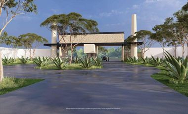 LOTES RESIDENCIALES EN VENTA 