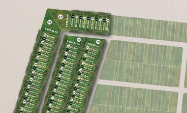 LOTES PLAYA GAVIOTAS EN VENTA, UBICADOS EN CHABIHAU , PUERTO DE SAN CRISANTO.