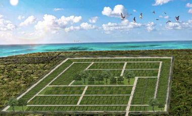 LOTES PLAYA GAVIOTAS EN VENTA, UBICADOS EN CHABIHAU , PUERTO DE SAN CRISANTO.