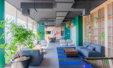 Home Inclusive Indep [3063-11]