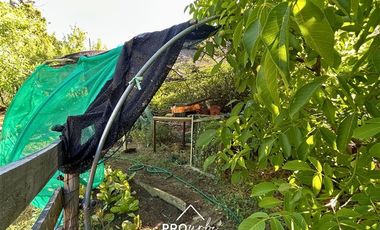 Parcela en Arriendo en Moderna, 3 dormitorios, 2 baños, Año Corrido, locomoción pública a la puerta, San José de Maipo