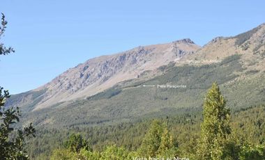 Casa en venta - 1 Dormitorio 1 Baño - El Bolsón