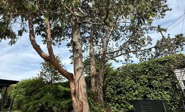 Hermosa Casa en Barrio Uno Ezeiza – Quincho, Jacuzzi y Cochera Doble