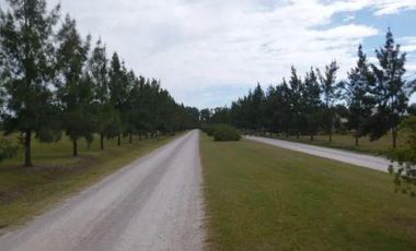 Terreno en venta - 2.200mts2 - Campos de Roca II, Coronel Brandsen