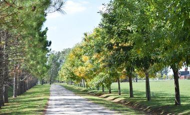 Terreno en venta - 2.200mts2 - Campos de Roca II, Coronel Brandsen