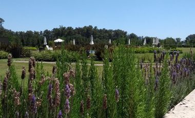 Terreno en venta - 2.200mts2 - Campos de Roca II, Coronel Brandsen