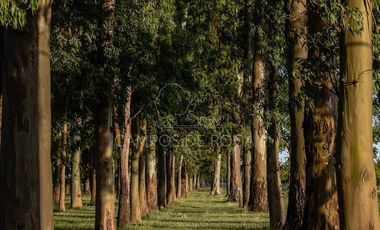 Terreno en venta - 2.200mts2 - Campos de Roca II, Coronel Brandsen