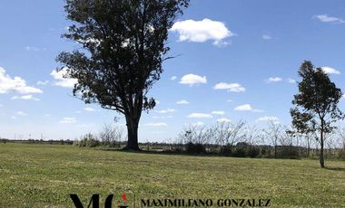Lote venta Santa Clara San Vicente