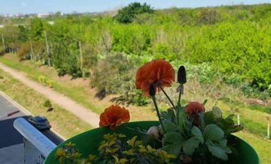 Departamento en venta - 3 Dormitorios 2 Baños - 80Mts2 - Castelar