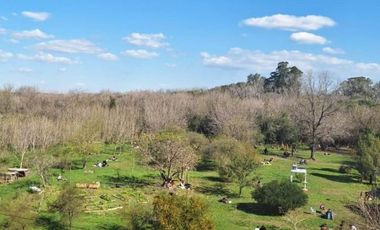 Departamento en venta - 3 Dormitorios 2 Baños - 80Mts2 - Castelar