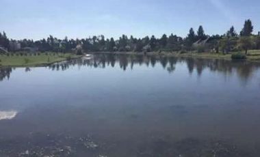 Terreno en venta - 1.024mts2 - Posadas de los Lagos, Brandsen