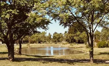 Terreno en venta - 1.024mts2 - Posadas de los Lagos, Brandsen