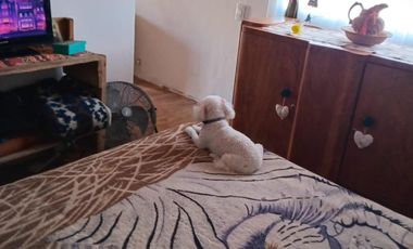 Casa en venta - 3 Dormitorios 2 Baños - Galpón - 203Mts2 - Santa Clara del Mar