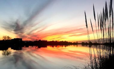 Terreno en venta - 800Mts2 - Santa Rita, San Vicente