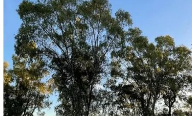 Terreno en venta - 450Mts2 - Longchamps