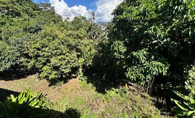 VENTA de LOTES en PEREIRA