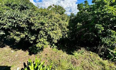 VENTA de LOTES en PEREIRA