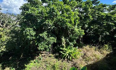 VENTA de LOTES en PEREIRA