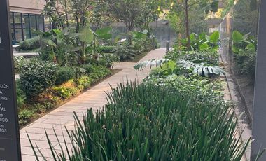 RENTA Departamento en Col. Los Alpes, Álvaro Obregón