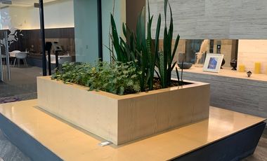 RENTA Departamento en Col. Los Alpes, Álvaro Obregón