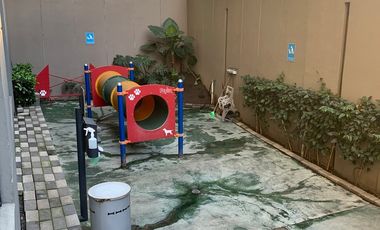 RENTA Departamento en Col. Los Alpes, Álvaro Obregón