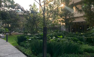 RENTA Departamento en Col. Los Alpes, Álvaro Obregón