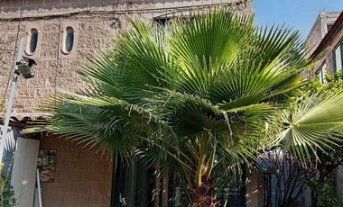 Casa El Laurel ID: 163106