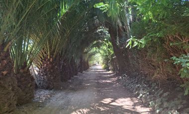 Terreno en Venta Melipilla