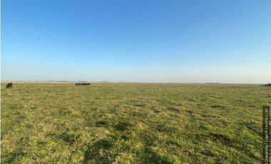 Campo en General Madariaga de 108 ha