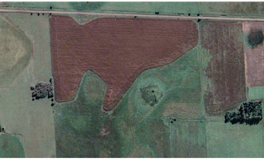 Campo en General Madariaga de 108 ha