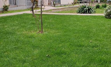 Departamento en arriendo en RANCAGUA