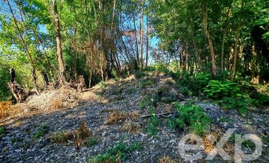 Parcela en Venta en Puente Alta, Quinta de Tilcoco