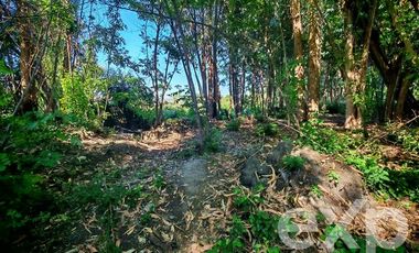 Parcela en Venta en Puente Alta, Quinta de Tilcoco