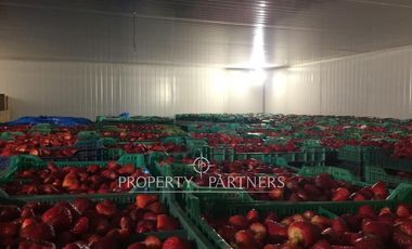 Gran planta frutícola a puerta cerrada