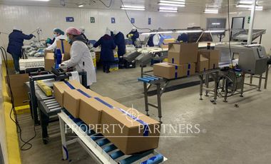 Gran planta frutícola a puerta cerrada