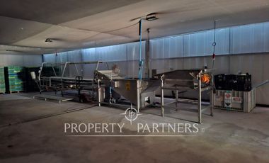 Gran planta frutícola a puerta cerrada