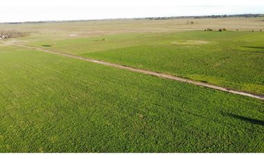 Campo en venta en Ranchos. 90 Has. mixto