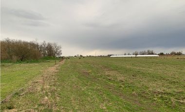 Campo en venta en Ranchos. 90 Has. mixto