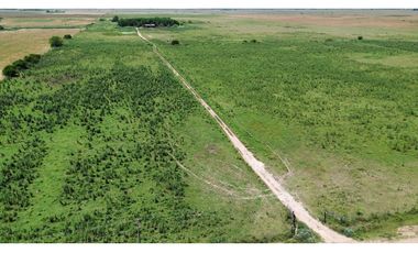 Campo en venta en Ranchos. 90 Has. mixto