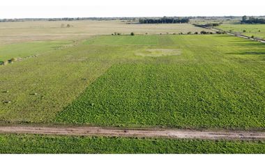 Campo en venta en Ranchos. 90 Has. mixto