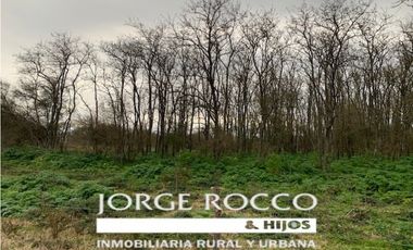 Campo en venta en Ranchos. 90 Has. mixto