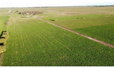 Campo en venta en Ranchos. 90 Has. mixto