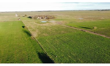 Campo en venta en Ranchos. 90 Has. mixto