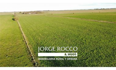Campo en venta en Ranchos. 90 Has. mixto