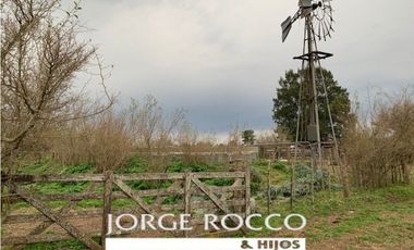 Campo en venta en Ranchos. 90 Has. mixto
